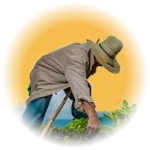 Image of a farmer working, representing Gramajanya FPC's focus to farmers and rural development.