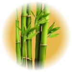 Image of bamboo trees representing Gramajanya FPC's bamboo plantation services.