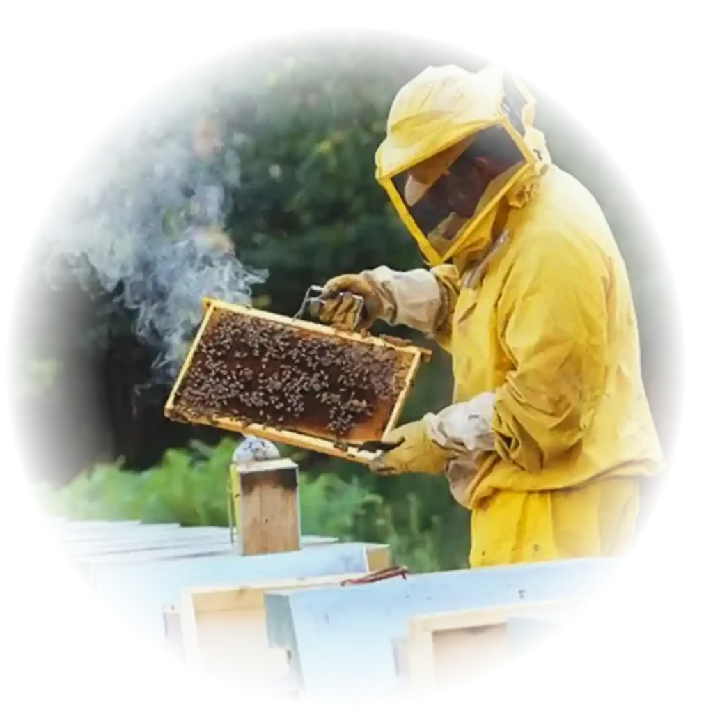 honey-produce-process-gramajanya-fpc Honey production process by a representative of Gramajanya FPC.